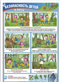 Безопасность детей в лесу, 1 л., А3