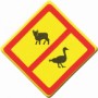 Запрещен выпас скота, домашних животных и птиц