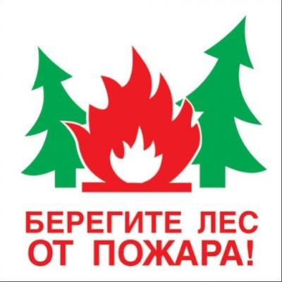 Берегите лес от пожара, 500х500, самоклейка