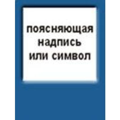 Поясняющая надпись или символ