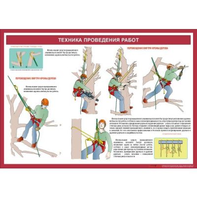 Техника обрезки деревьев (кронирование), 3л., формат А2, ламин.