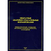 Нештатные аварийно-спасательные формирования Предназначение, создание, организационная структура, оснащение 2012