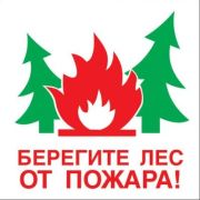 Берегите лес от пожара, 500х500, самоклейка