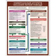 Универсальный алгоритм оказания первой помощи. 1л. ламинир. 465х600мм